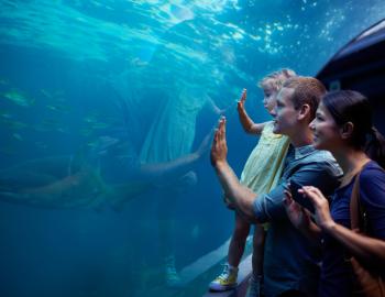 Clearwater Beach Aquarium 