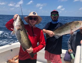 Contagious Fishing Charters in Indian Rocks Beach