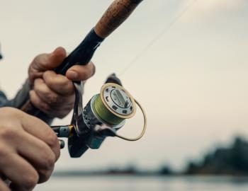 Clearwater Beach Fishing 