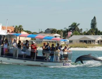 Little Toot Dolphin Adventure in Clearwater Beach