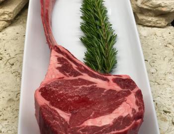 Salt Rock Grill in Indian Rocks Beach