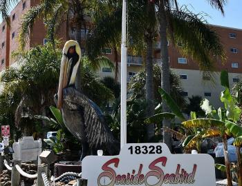 Seaside Seabird Sanctuary in Clearwater Beach