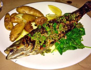 Sola Bistro and Wine Bar in St. Pete Beach