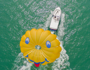 Suncoast Watersports in St. Pete Beach