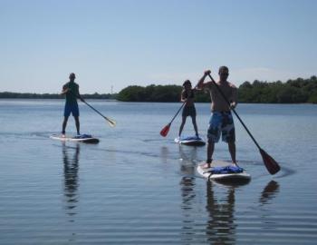 Tampa Bay Stand Up Paddleboarding & Kayaking in Clearwater Beach